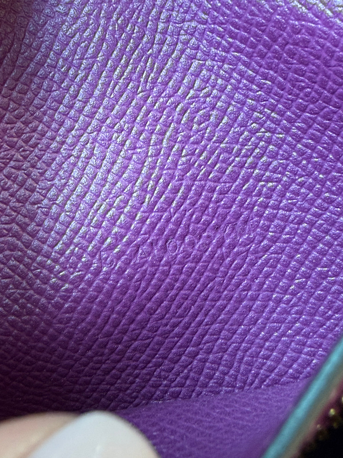 Hermes’ Purple Berne