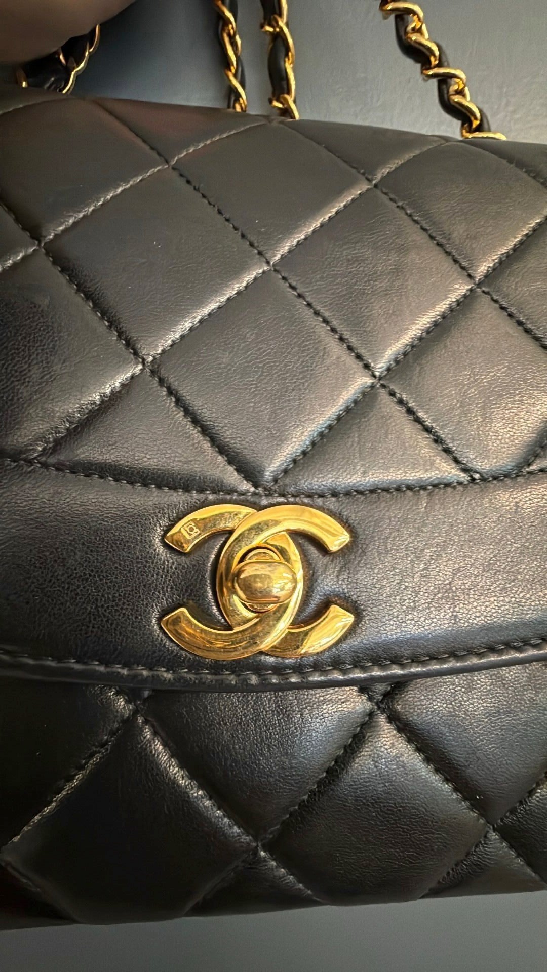 Rare Chanel Diana with Back Pocket
