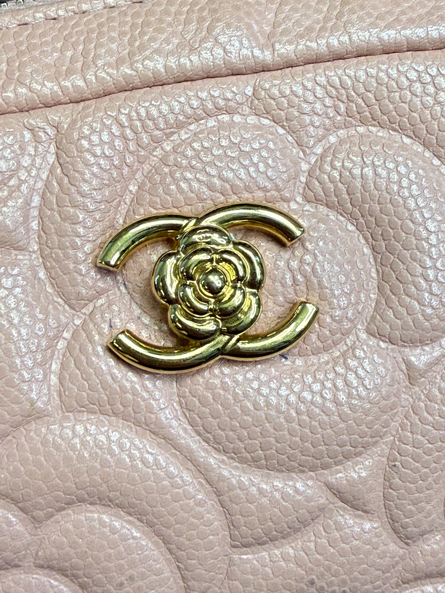Chanel Mini Pink Camilla Caviar Vanity