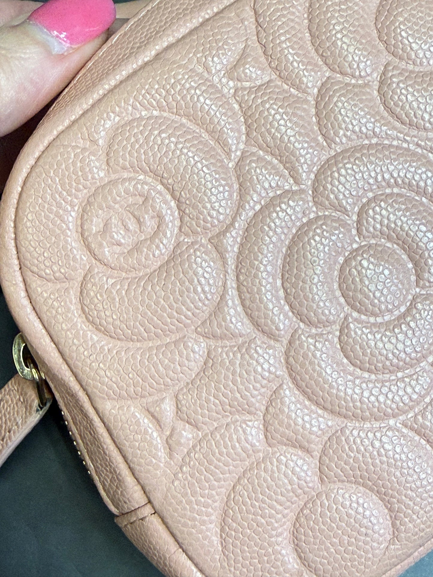 Chanel Mini Pink Camilla Caviar Vanity