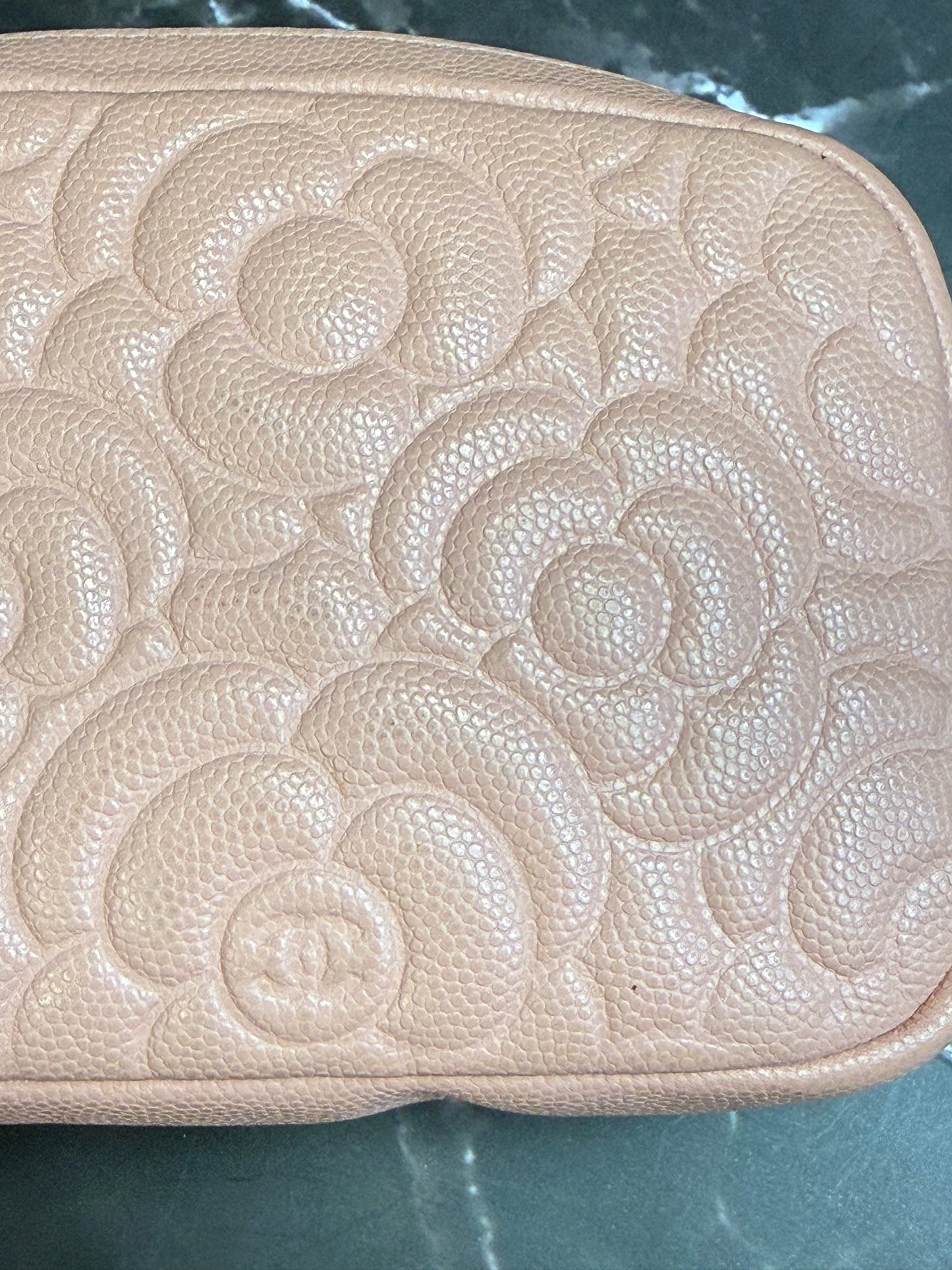 Chanel Mini Pink Camilla Caviar Vanity
