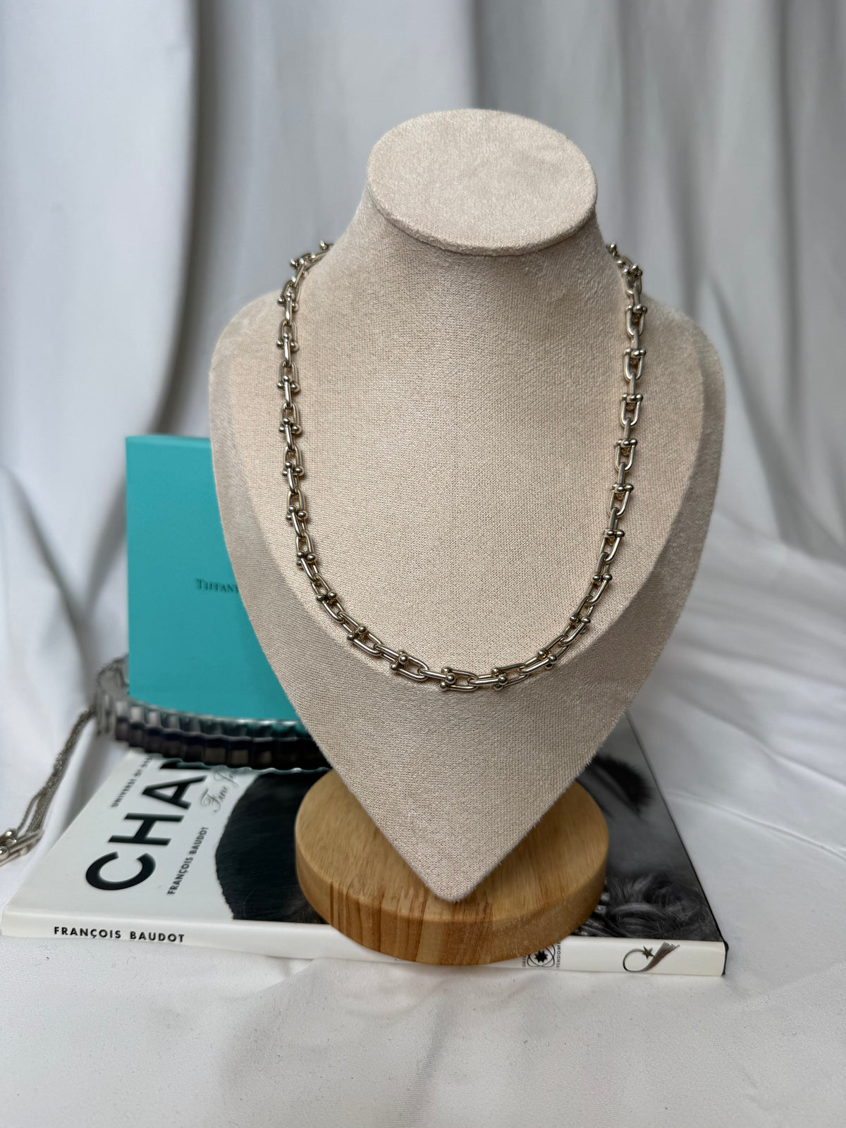 TIFFANY Sterling Silver Small HardWear Link Necklace