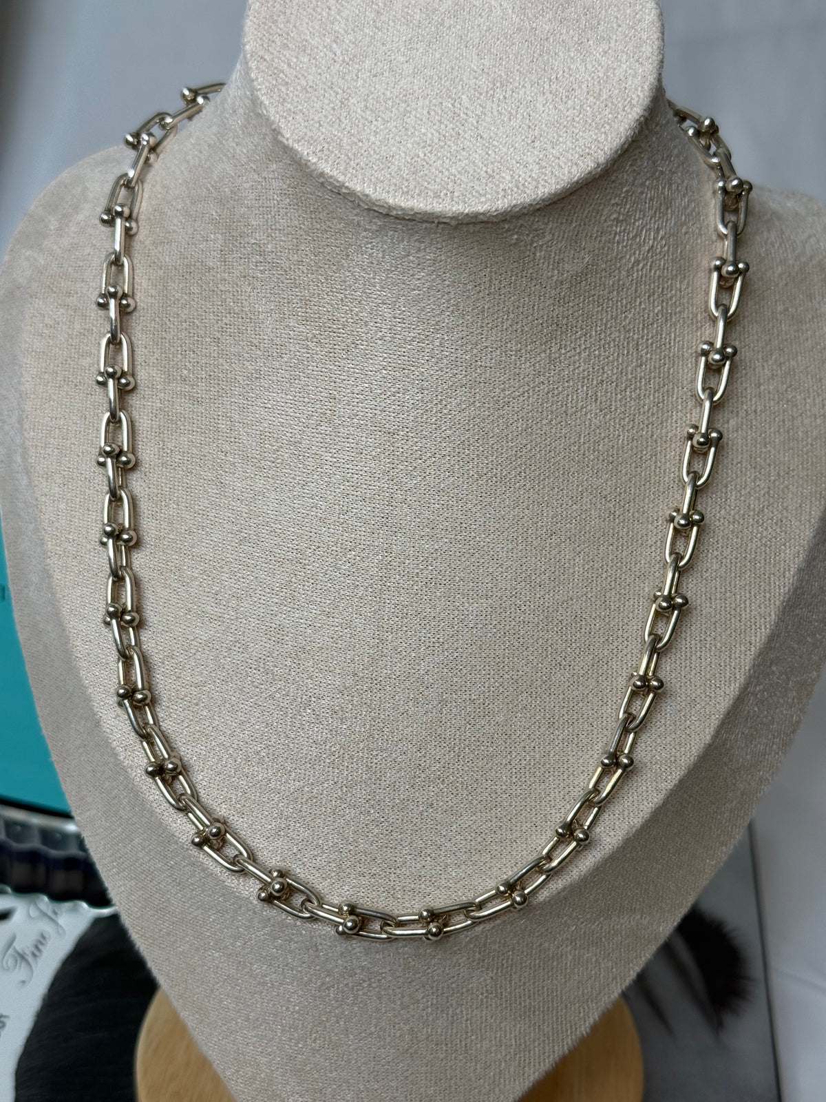 TIFFANY Sterling Silver Small HardWear Link Necklace