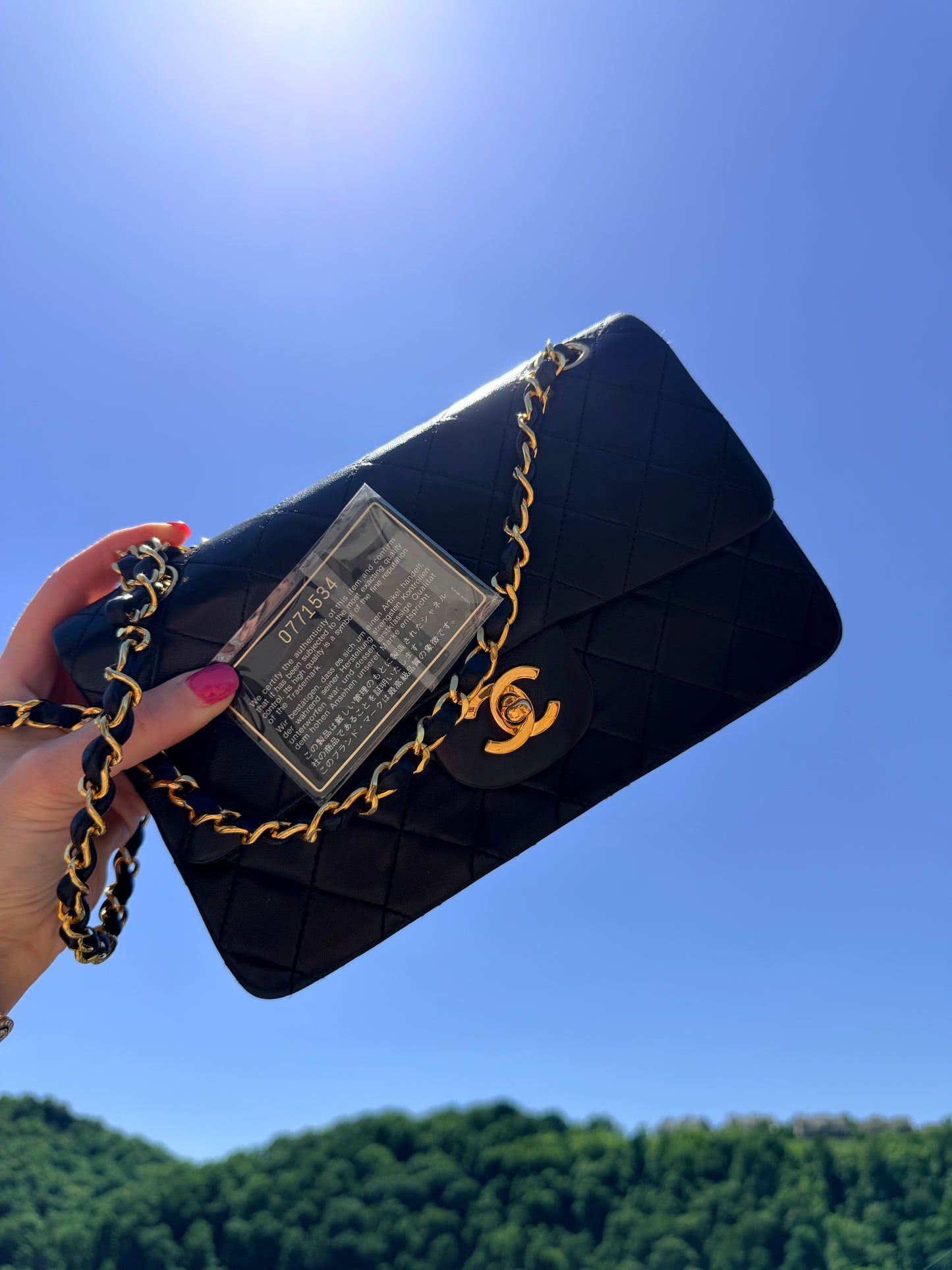 Chanel Medium Classic Double Flap Bag Lambskin and Gold Hardware series 0!