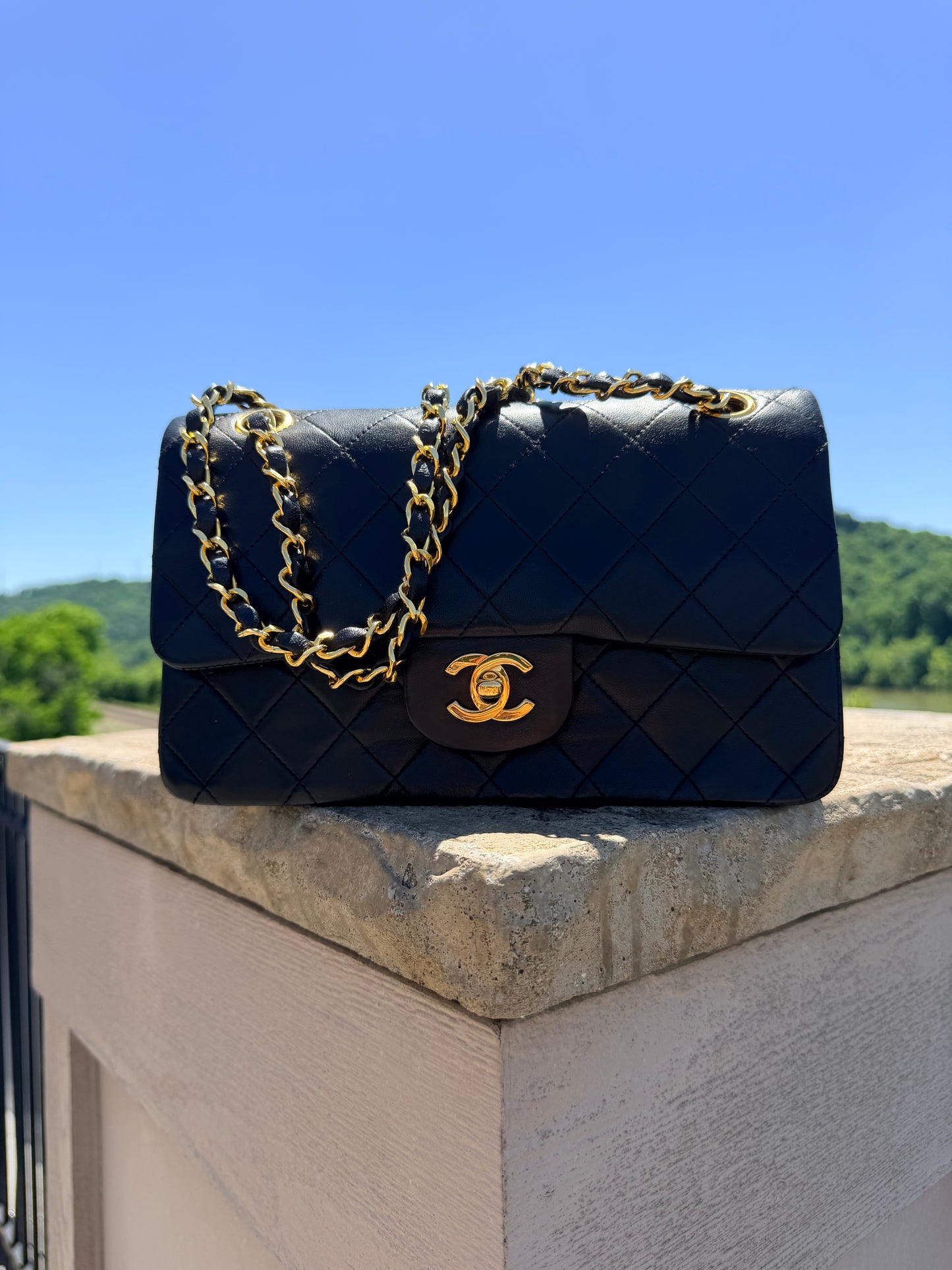Chanel Medium Classic Double Flap Bag Lambskin and Gold Hardware series 0!