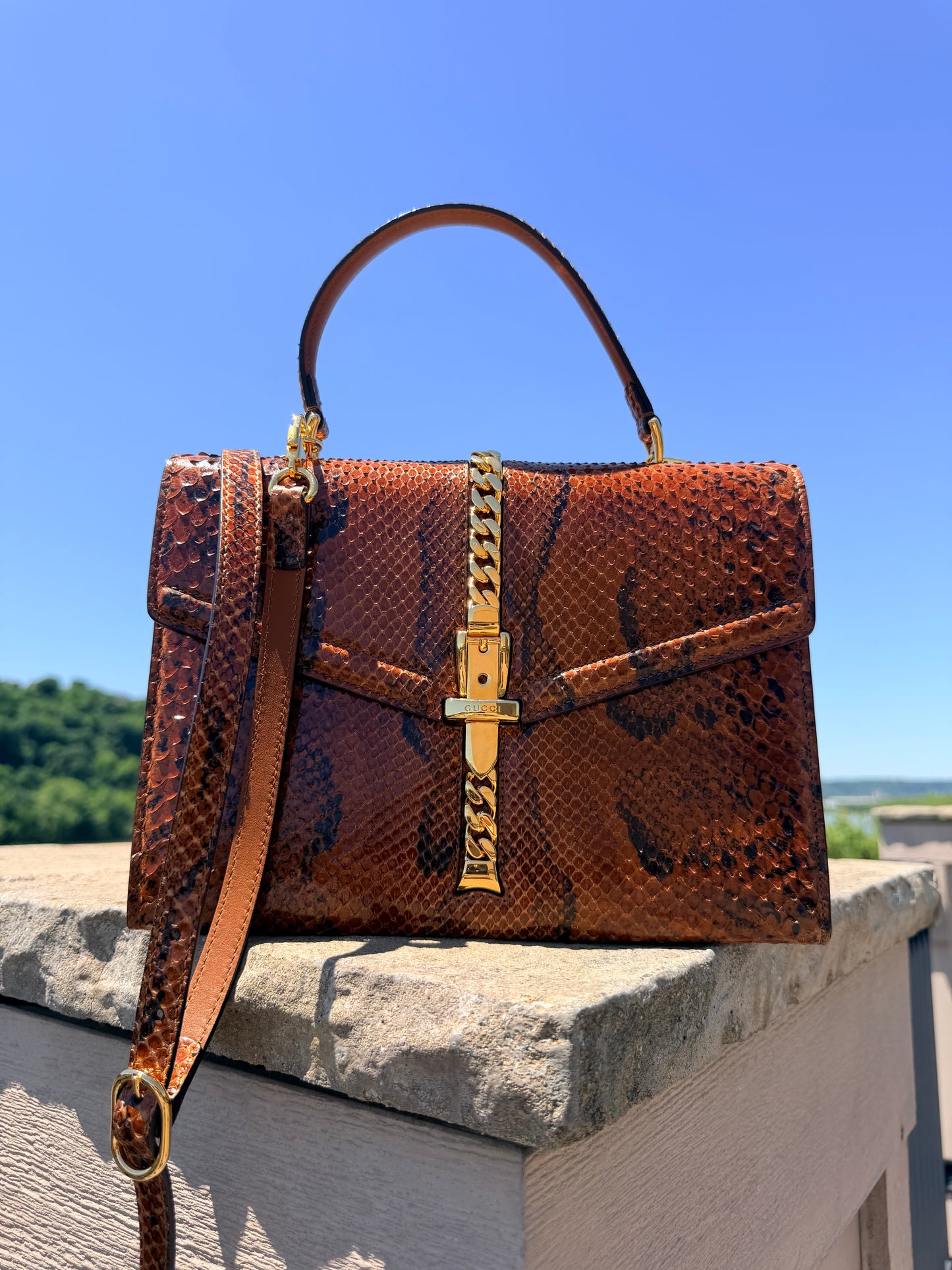 Gucci. Brown python skin Sylvie 1969 tote bag